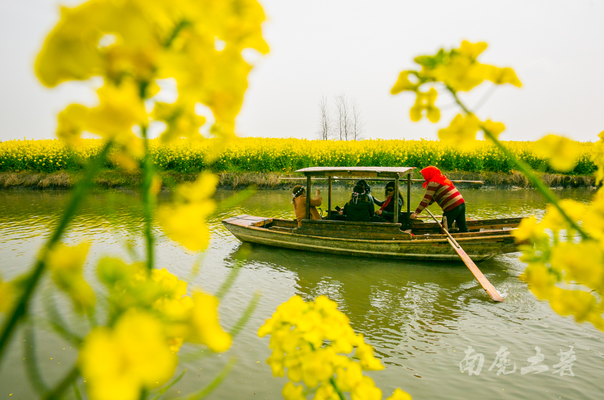 壮观，航拍全国最大的水上油菜花海