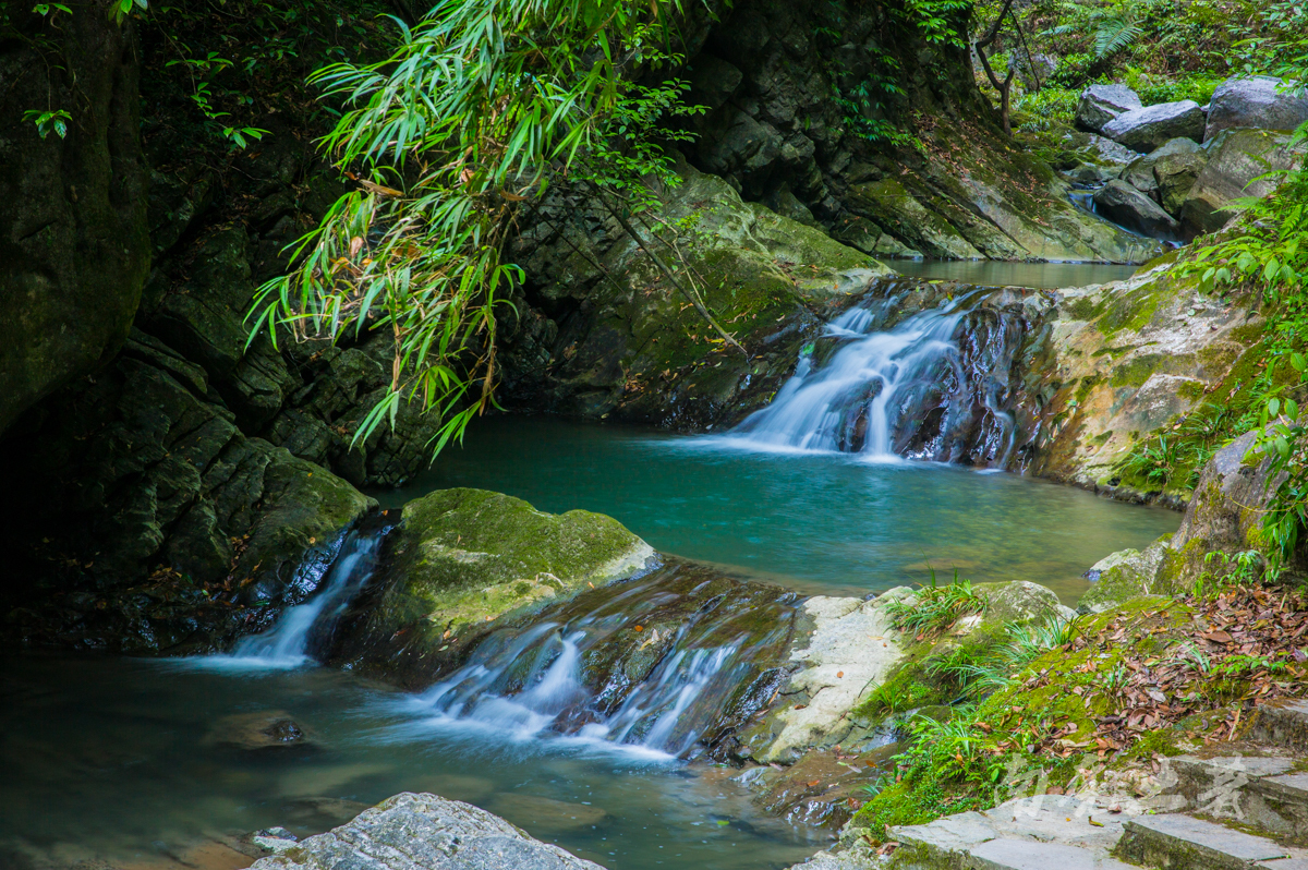 #夏天的味道#碧潭幽谷寻觅萤火虫,沿途遭猴群收买路钱