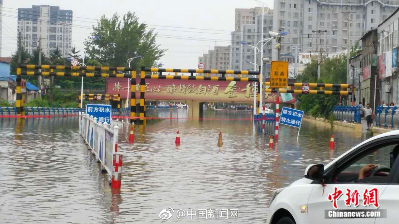 狮子座不管几岁，谈起恋爱来都像是5岁