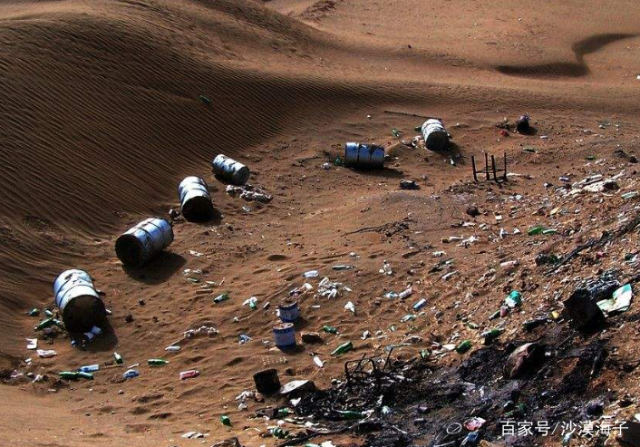 马云样子种植,栅栏辛苦创建的"蚂蚁一手",如今成了这网友电森林大象图片