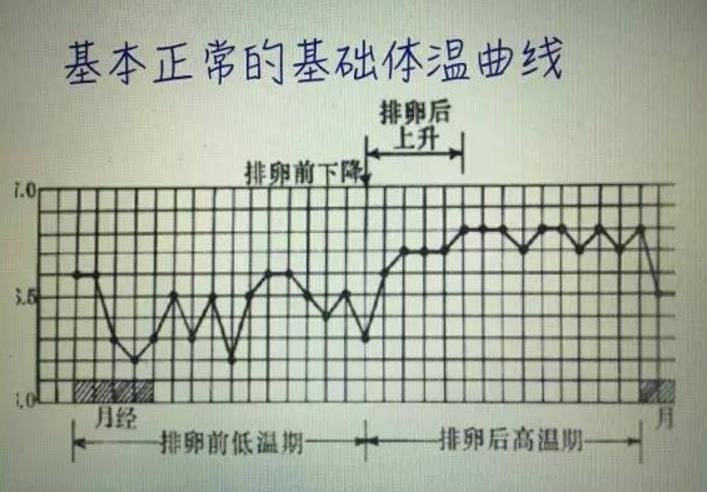 着床体温 妊娠したらどうなる？ 基礎体温グラフの変化