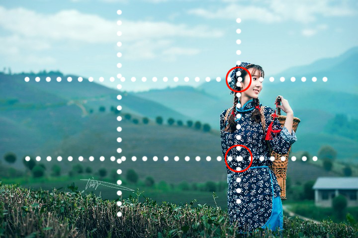 怎么样交换友情链接