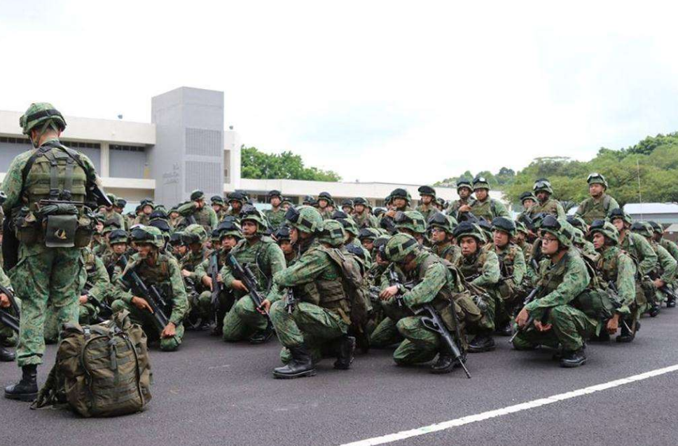 新加坡人口和军事_新加坡人口结构占比图(2)