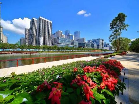 网红公园——深圳大沙河生态长廊正式免费开放！住南山的人太幸福|南山|大 