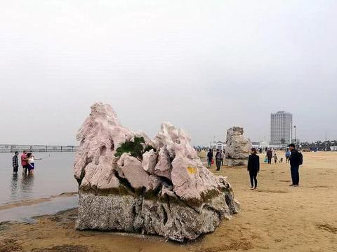 金山海濱體育場重磅消息