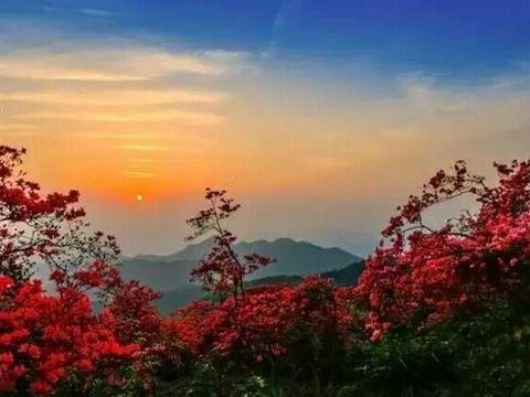 紧迫情况：罗田县小巷子女生活实况 2025年实地走访与避坑指南