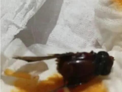 卫龙辣条吃出虫子,辣条童年快乐!