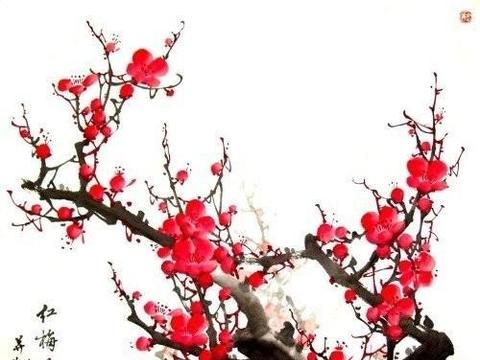 诗词里的梅兰竹菊，好美|幽兰|诗词|梅兰竹菊_新浪新闻