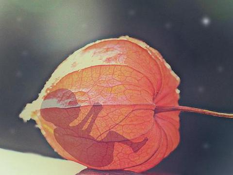 感知成长的神奇_感知成长的神奇最新消息,新闻