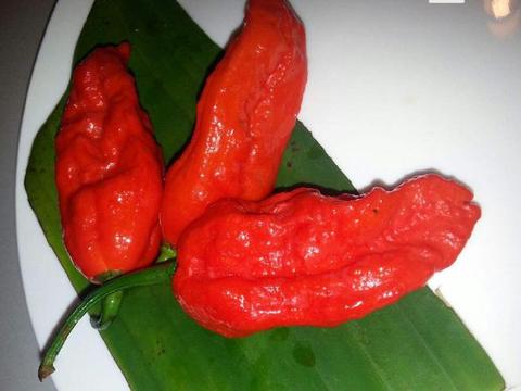 全球最辣的4种辣椒，中国上榜，最后一个无人敢吃