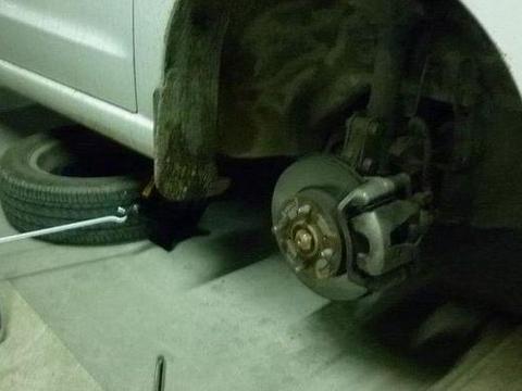 车辆刹车比较软的话，不要忽视，这几个地方要去检查