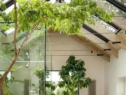 当把景观搬进室内，原来室内景观设计还可以这样玩！|建筑|大自然_新浪新闻