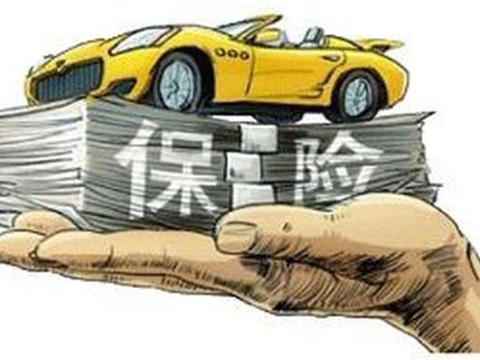新手买车：车险一般上哪几种比较划算？第二年怎么续费比较省？