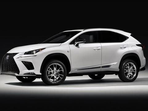 雷克萨斯 NX Black Line Edition