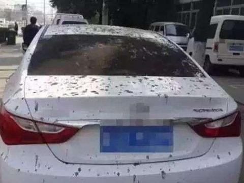 车子不管多脏，学学这样保养，开多久都跟新的没差！