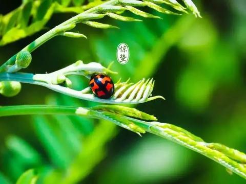 天津利星行体贴呵护丨购原厂保养套餐乐享惬意生活