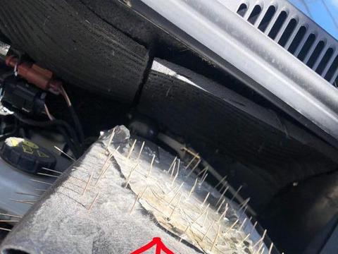 看这位车主是怎样防止猫鼠钻进发动机舱打窝的，这个方法值得推荐