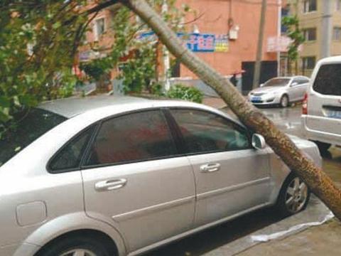 为什么很多老司机从不买车损险？知情人士：不买的都是吃过亏的