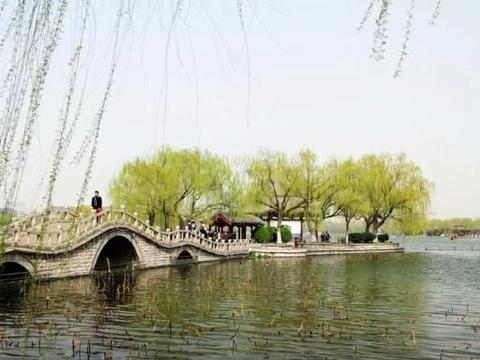 被迫“转型”的低速电动车经销商 下一站在哪？