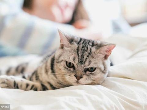 这里有“凯迪拉克“的最新资讯请不要错过