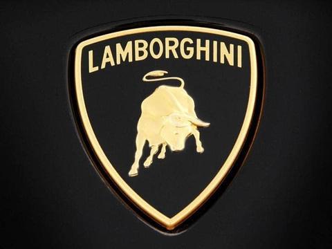 大众旗下最贵SUV，重2.2吨提速3.6秒，极速305KM贴地飞行！