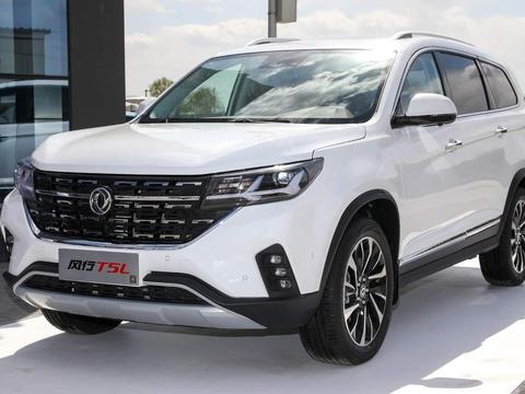 “东风风行“最全资讯一网打尽，有我就够了