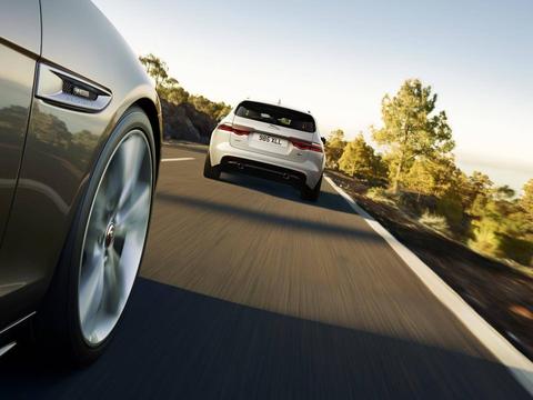 最新最全的“旅行车“资讯都在这里，不容错过