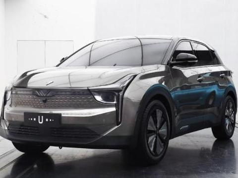 轴距2750mm，A柱装12寸屏，续航500km4.9S破百，比亚迪压力山大