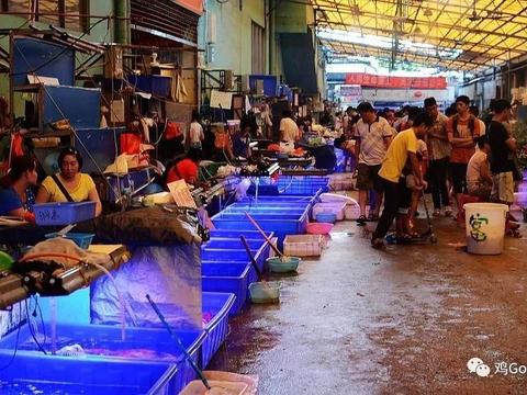 广州花鸟鱼市场