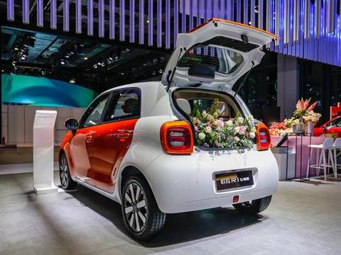 全球首款自动驾驶电动小车欧拉R1亮相上海车展