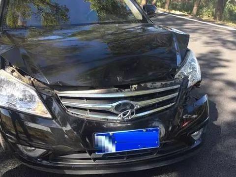 老司机不买车损险?车险到底怎么买才划算