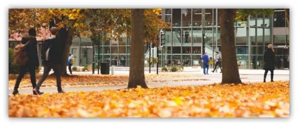 全球百强 QS世界排名top57英国华威大学国际