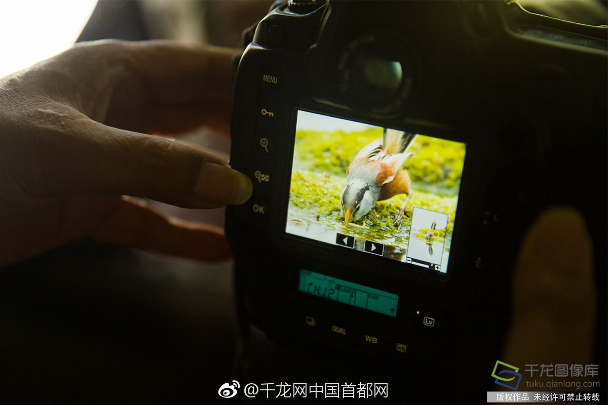 天鹅湖国庆节看灯光秀