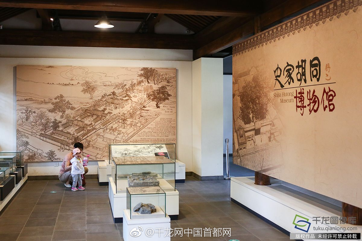 种子里的父爱与成长——免费在线观看与剧情介绍