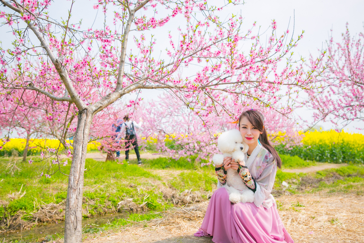 壮观，航拍全国最大的水上油菜花海
