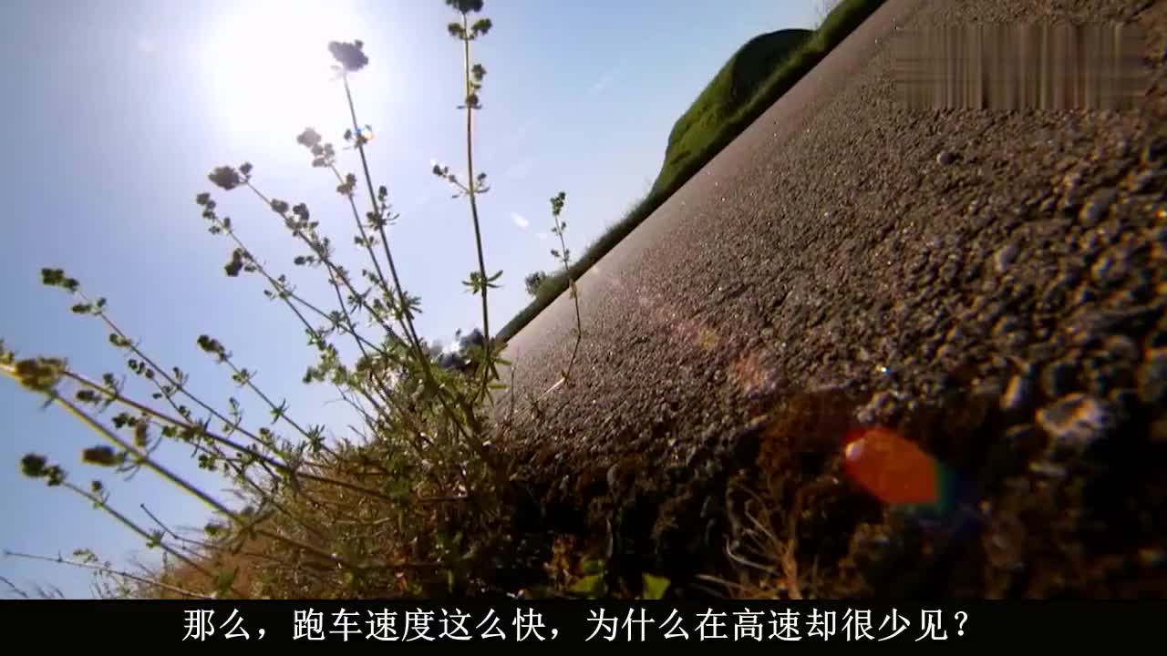跑车速度这么快，为什么在高速却很少见？跑车车主：你跑一个试试