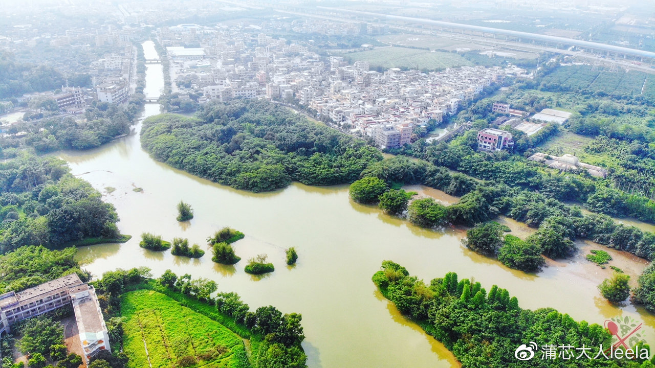 1棵500年榕樹占地20畝，100多種鳥類的樂園，就是廣東的小鳥天堂