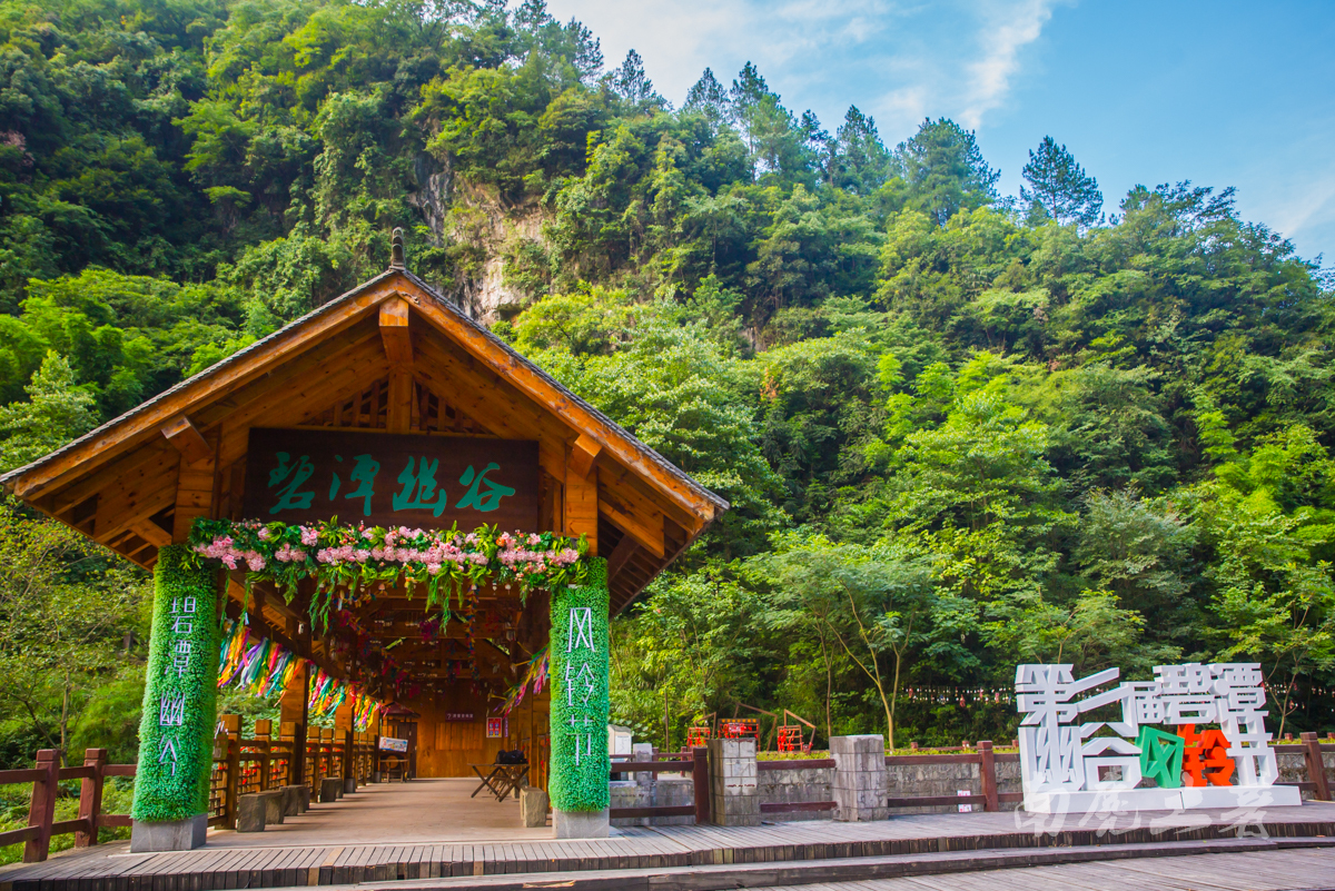 #夏天的味道#<a href='http://travel.sina.com.cn/nanchuanq_bitanyougu_18909-lvyou/?from=b-keyword' target='_blank'>碧潭幽谷</a>寻觅萤火虫,沿途遭猴群收买路钱
