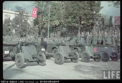 二战党卫军三大精锐:帝国师、骷髅师、维京师