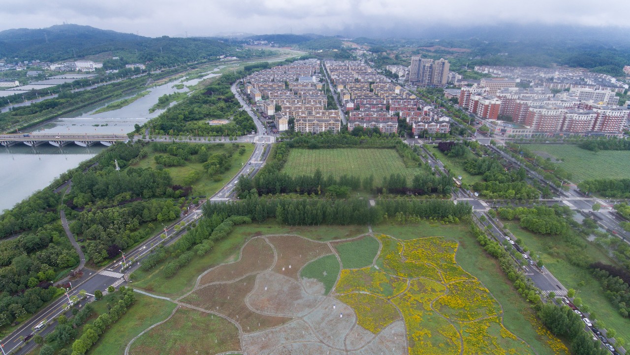 地震应对政策专家:汶川地震重塑国家应急管理
