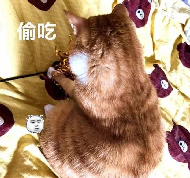 橘猫躲在床上偷吃,却是被主人抓到,吃的太急竟是粘了嘴!