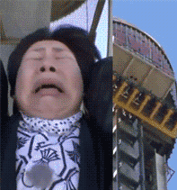 搞笑gif图10张:看看价格,吓死我了!