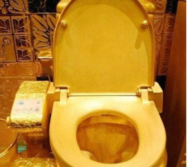 世界上"最贵的黄金卫生纸",一卷价格800多万,网友:真土豪