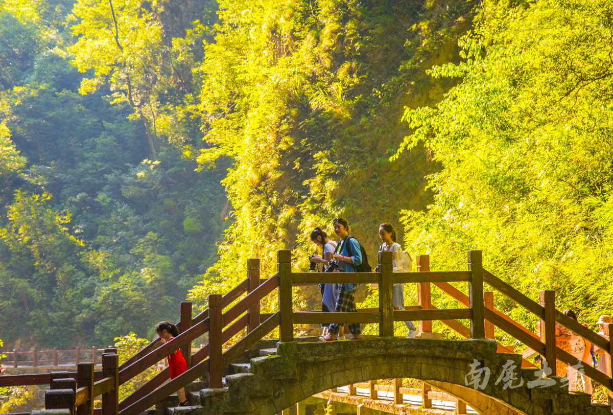 #夏天的味道#碧潭幽谷寻觅萤火虫,沿途遭猴群收买路钱
