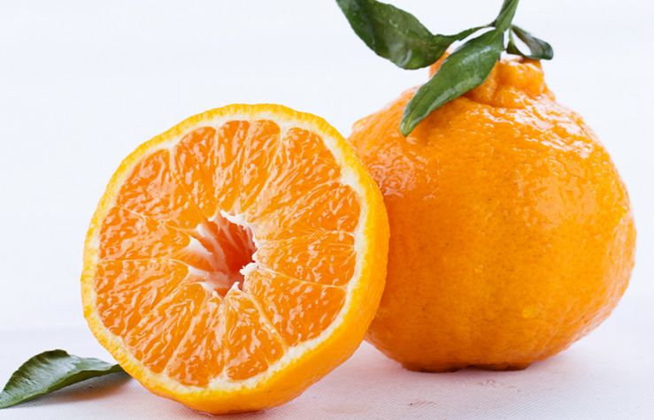 四川不知火丑柑丑橘来袭!实力派“丑萌君”，甜润到心里!