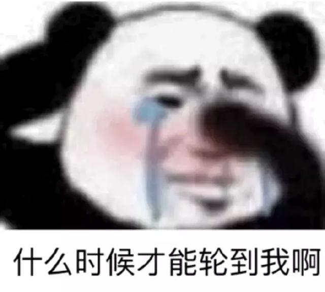 熊猫表情包:我只有这么一点卑微
