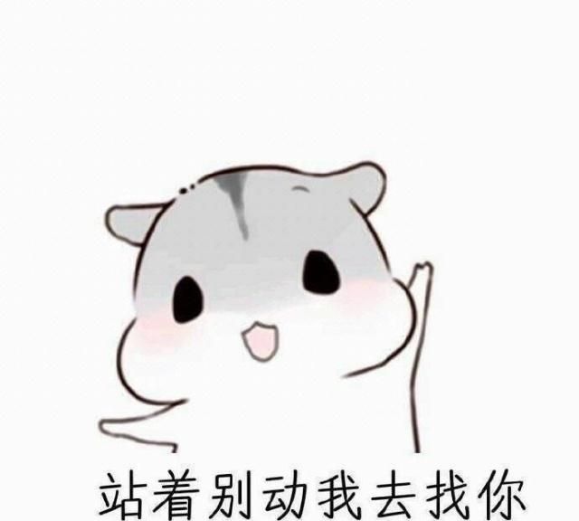 2019新鲜出炉的搞笑段子,句句经典,发朋友圈皮一下!