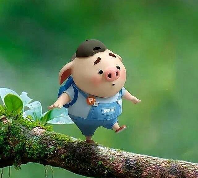 花小猪老总_小猪佩奇图片(3)