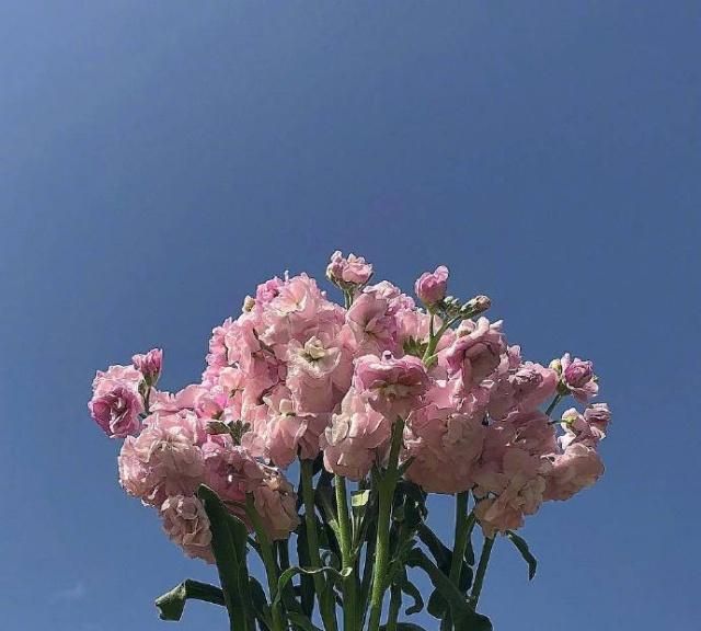 点赞过亿的早安说说,温暖美好,读着就是一种享