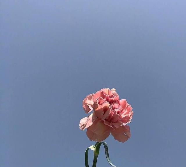 点赞过亿的早安说说,温暖美好,读着就是一种享